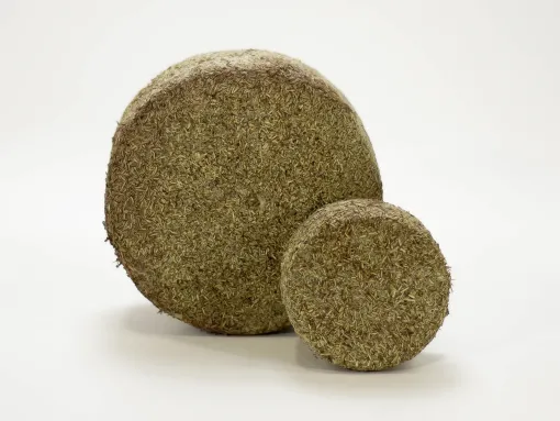 Queso puro de cabra semicurado en Manteca y Romero