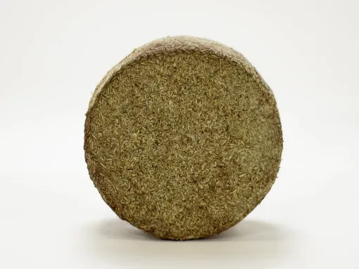 Queso puro de cabra semicurado al Romero